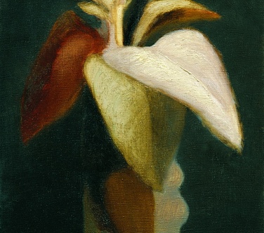 Image Format