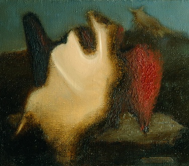 Image Format