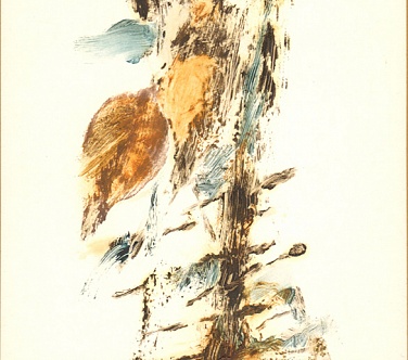 Image Format
