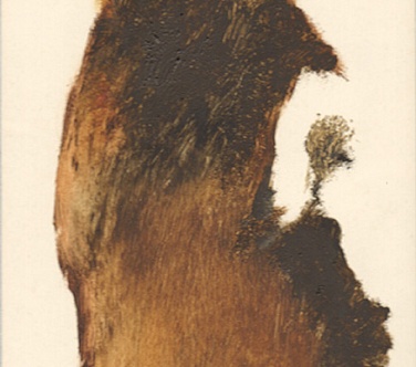 Image Format