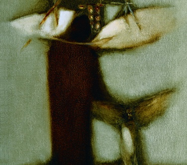 Image Format