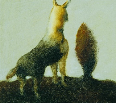 Image Format