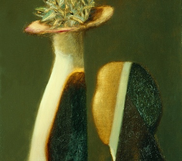 Image Format