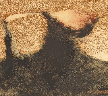 Image Format