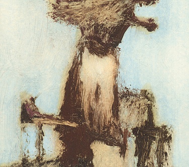 Image Format